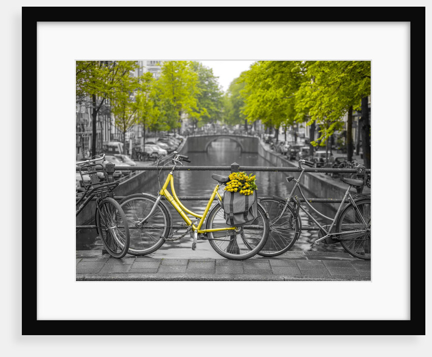 Bicycle with flowers at canal by Assaf Frank